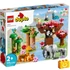 Kép 1/4 - Termékkép a dobozról - LEGO® DUPLO 10974 Ázsia vadállatai